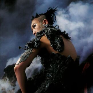 33emybw - Holes Of Sinian 2LP