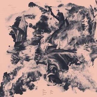 Barnett & Coloccia - Third Wilderness 1LP
