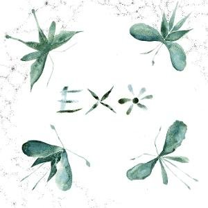 Exo - Exo 1LP