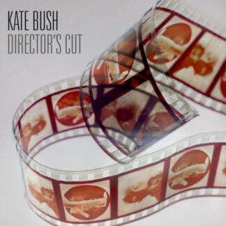 Kate Bush - Directors Cut 2LP