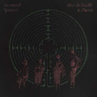 Cocoanut Groove - How to Build a Maze 1LP