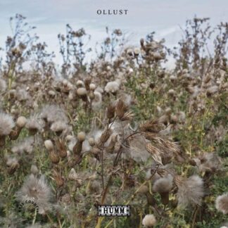 Broads & Milly Hirst - Ollust 1LP