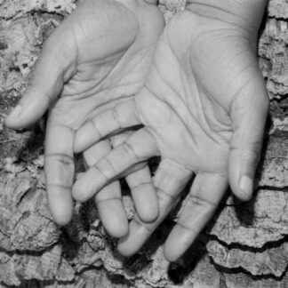 Kokoroko - Could We Be More Remixes 1LP