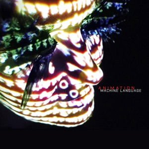 LP - Machine Language 2LP