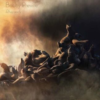 Bobby Previte - Rhapsody 2LP