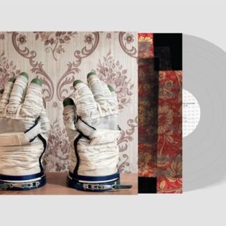David Sylvian & Stephan Mathieu - Wandermude 2LP