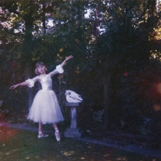 Wolf Alice - Visions Of A Life(2LP/GF)