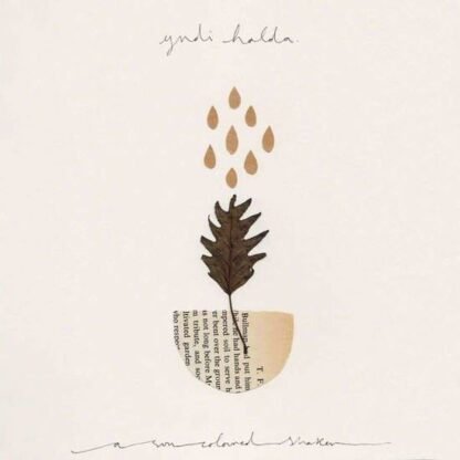 YNDI HALDA - A SUN COLOURED SHAKER