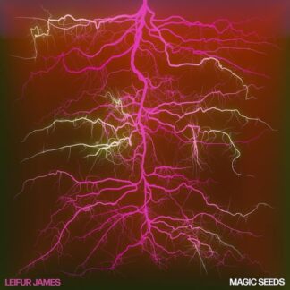 Leifur James - Magic Seeds 1LP