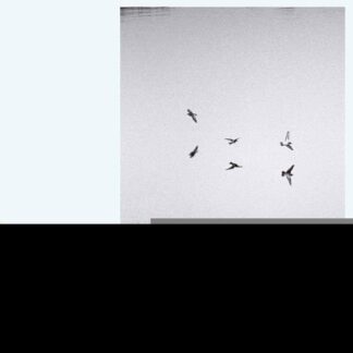 Kirk Barley - Landscapes 1LP