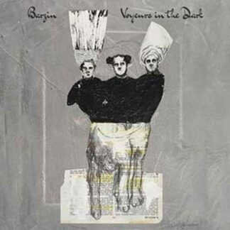 Barzin - Voyeurs In The Dark 1LP
