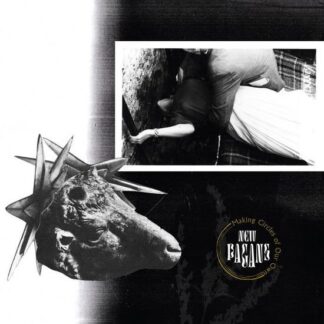 New Pagans - Making Circles of Our Own 1LP