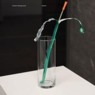 Dominic Waxing Lyrical - Diminuet 1LP