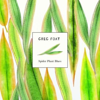 Greg Foat - Spider Plant Blues 1LP