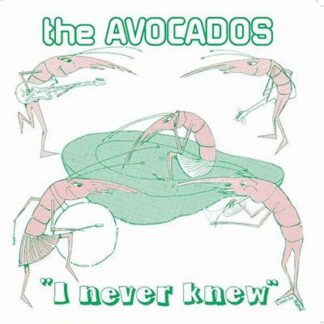 Avocados - I Never Knew 1LP