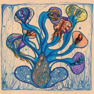 Houeida Hedfi - Fleuves De LAme 2LP