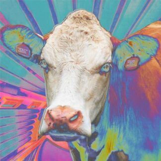 Eyes Of Others - Eyes Of Others 1LP