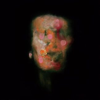 Lanterns On The Lake - Versions Of Us 1LP