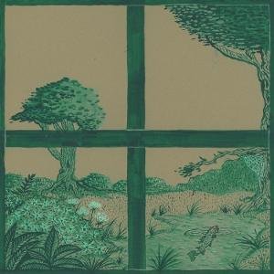 Dirty Projectors & David Longstreth & Stargaze - Song Of The Earth 2LP