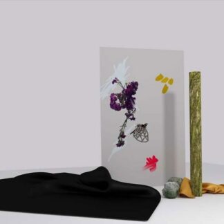 Lowly - Heba 1LP