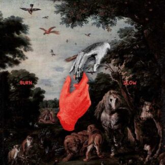 Chris Liebing - Burn Slow 2LP