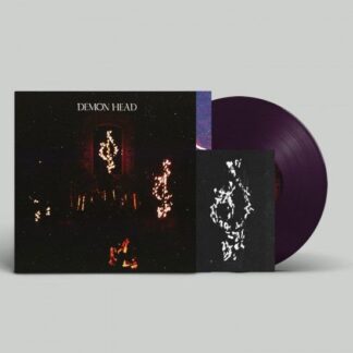 Demon Head - Through Holes Shine the Stars 1LP