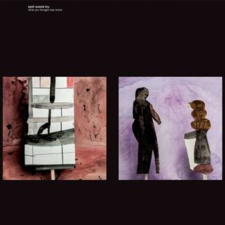 Kjetil Mulelid Trio - What You Thought Was Home 1LP