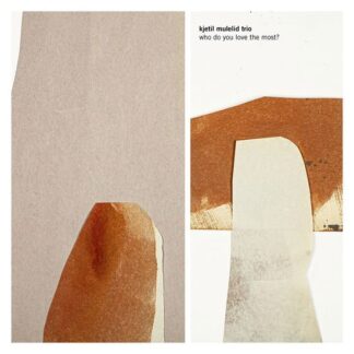 Kjetil Mulelid Trio - Who Do You Love The Most? 1LP