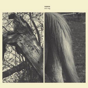 Susanna - Wild Dog 1LP