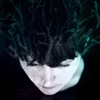 Hanne Kolsto - While We Still Have Light 1LP