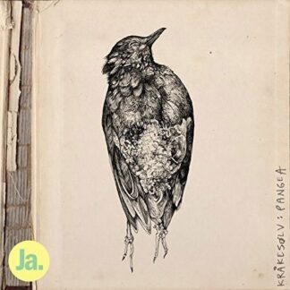 Krakesolv - Pangea 1LP