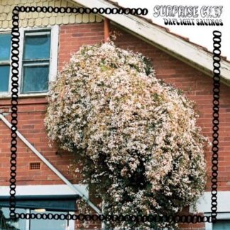 Surprise Chef - Daylight Savings 1LP