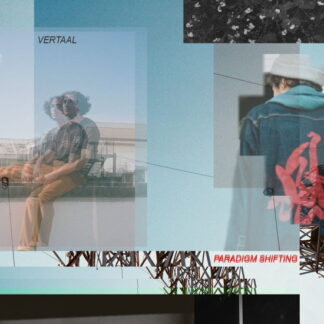 Vertaal - Paradigm Shifting 2LP