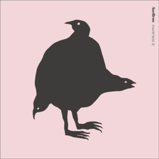 Ane Brun - Rarities 2 1LP