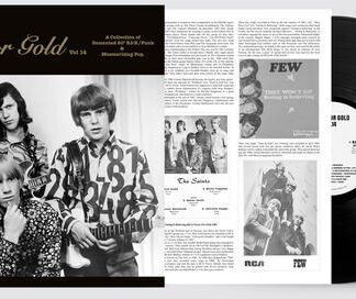 Diggin' For Gold Vol. 14 1LP