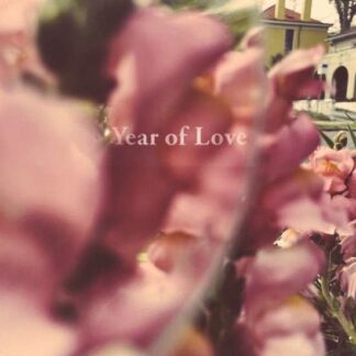 Beta Radio - Year of Love 1LP