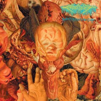 Festerdecay - Reality Rotten to the Core 1LP