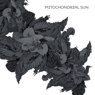 Mitochondrial Sun - Mitochondrial Sun 1LP