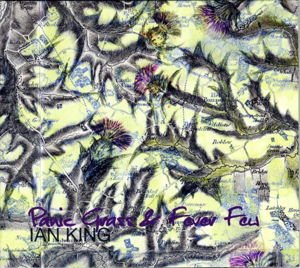 Ian King - Panic Grass & Fever Few 1LP