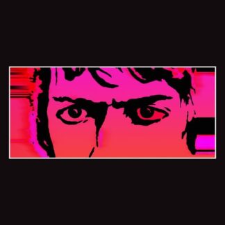 Delicate Steve - Till I Burn Up 1LP