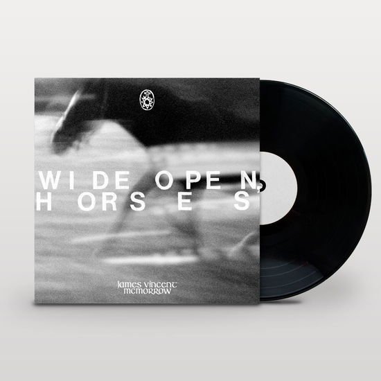 James Vincent Mcmorrow - Wide open, horses 2LP