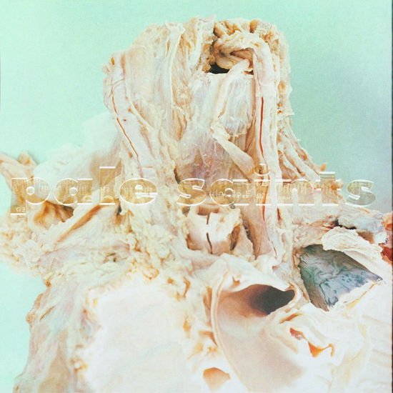 PALE SAINTS - IN RIBBONS 2LP