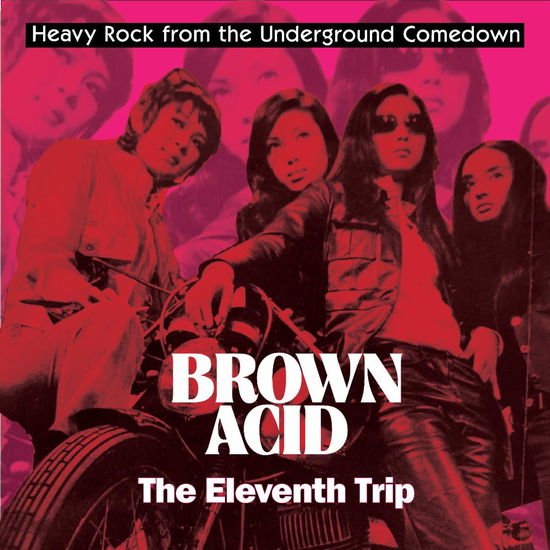 Brown Acid - the Eleventh Trip / Various - Brown Acid - the Eleventh Trip / Various 1LP