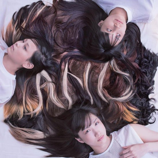 Tricot - A N D 1LP