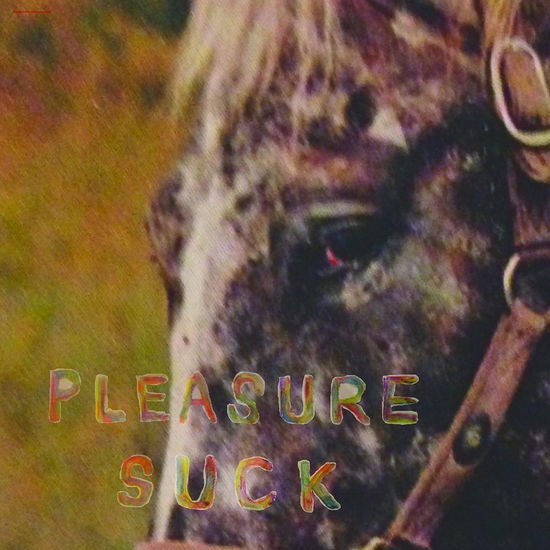 Spirit of the Beehive - Pleasure Suck (Transparent Orange Vinyl) 1LP