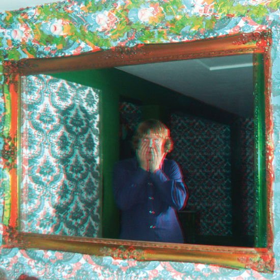 Ty Segall - Mr. Face 1LP