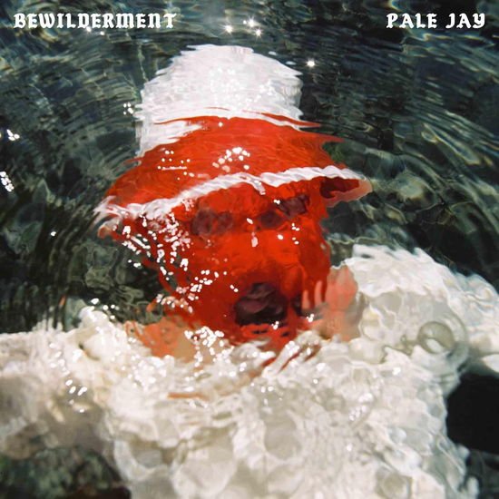 Pale Jay - Bewilderment 1LP
