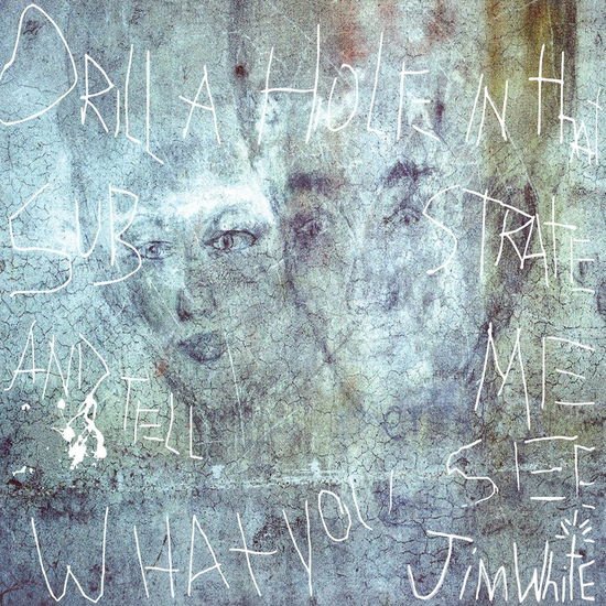 Jim White - Drill A Hole In That Substrate And Tell Me What You See 2LP