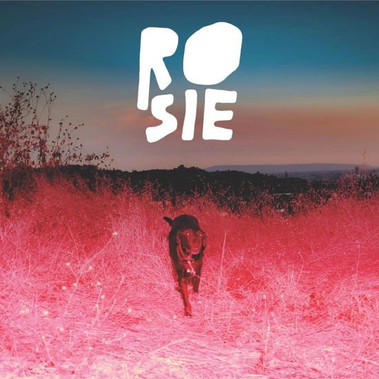 Kaycie Satterfield - Rosie (Eco-Friendly Rosie Red Vinyl) 1LP
