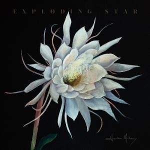 Heather Maloney - Exploding Star 1LP
